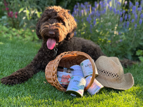 Co nejlépe na výlety?