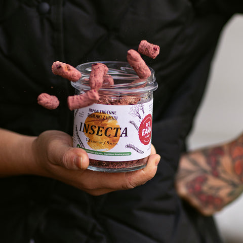 Insecta – Sušenky