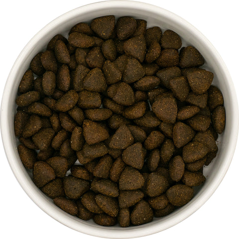 Losos – Granule pro starší psy