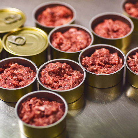 Krůta / Moriak – Konzerva pro kočky