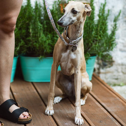 Mille Fleurs - obojek