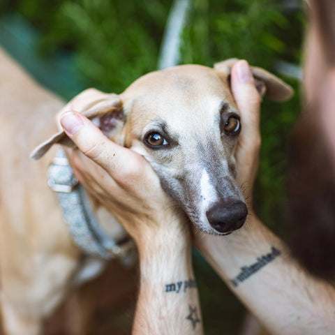 Mille Fleurs - obojek