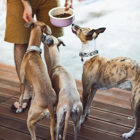 Mille Fleurs - obojek