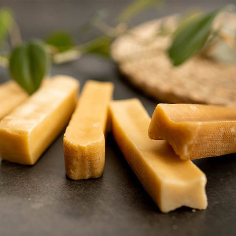 Explorer Dog – Himalájská tyčka