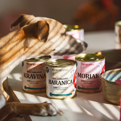 Krůta / Moriak – Vývar pro psy a kočky