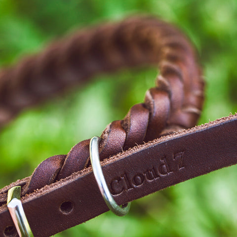 Central park - obojek