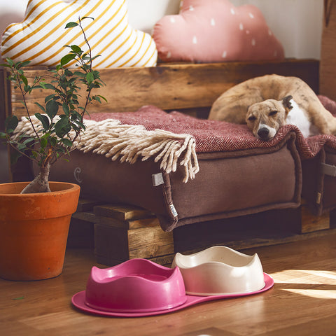 Beco Pets Food Water Bowl / Miska