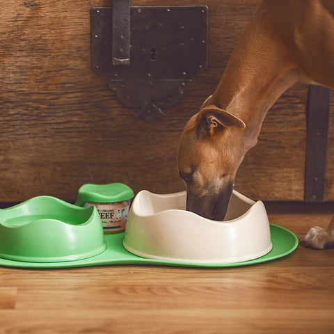Beco Pets Food Water Bowl / Miska