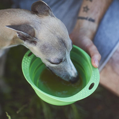 #ZEROWASTE Losos – Vývar pro psy a kočky