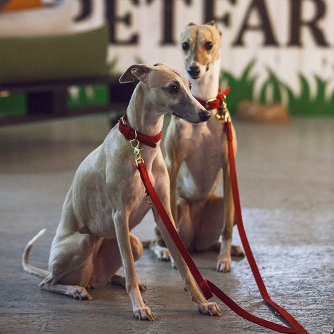 Tiergarten - vodítko