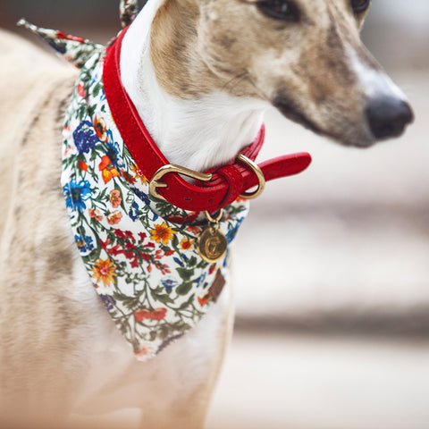 Tiergarten - vodítko