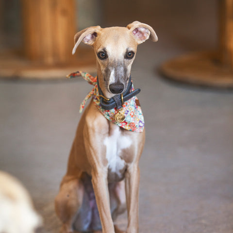 Tiergarten - vodítko