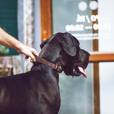 Tiergarten - vodítko