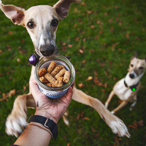 #ZEROWASTE Losos – Sušenky