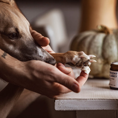 Přírodní krém na packy