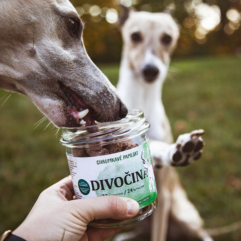 Divočina – Sušenky