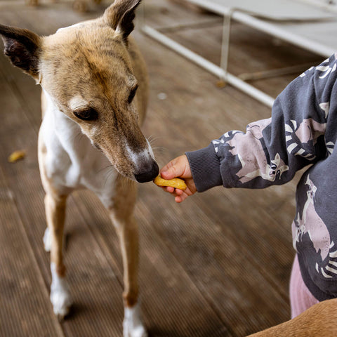 Naturea Yogurt, walnut & honey sušenky