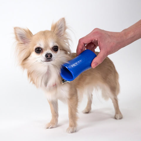 Pet Teezer Brush