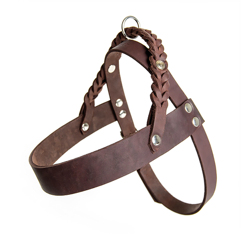 Central Park - postroj